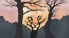 Vad ser du på den här bilden? Psykologiskt test som avslöjar hur du uppfattar världen