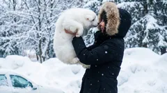 Kan djur förstå människans språk?